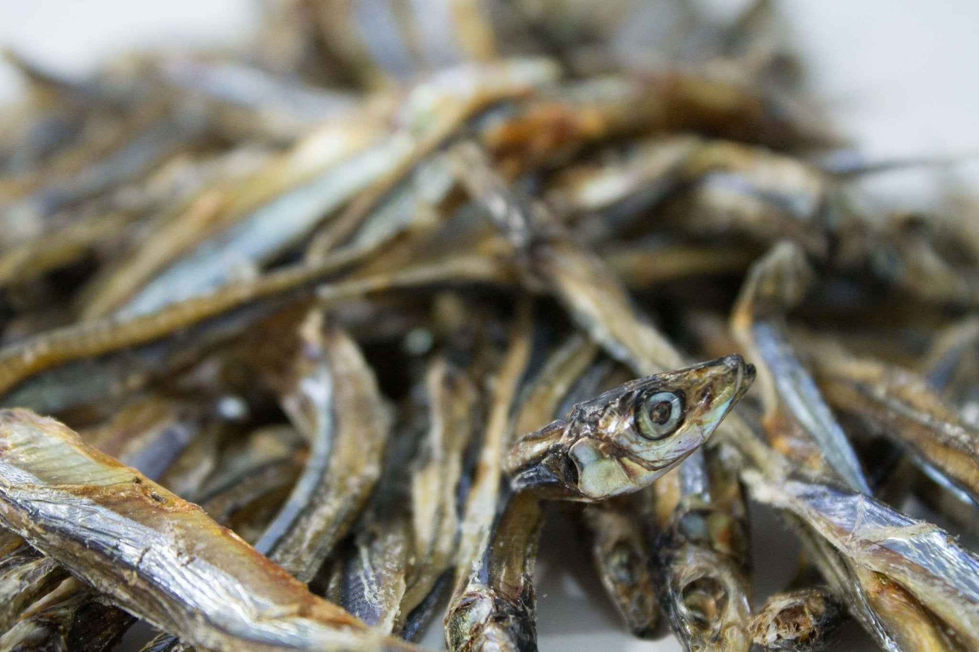 Dried Sardines 90g - Case of 12