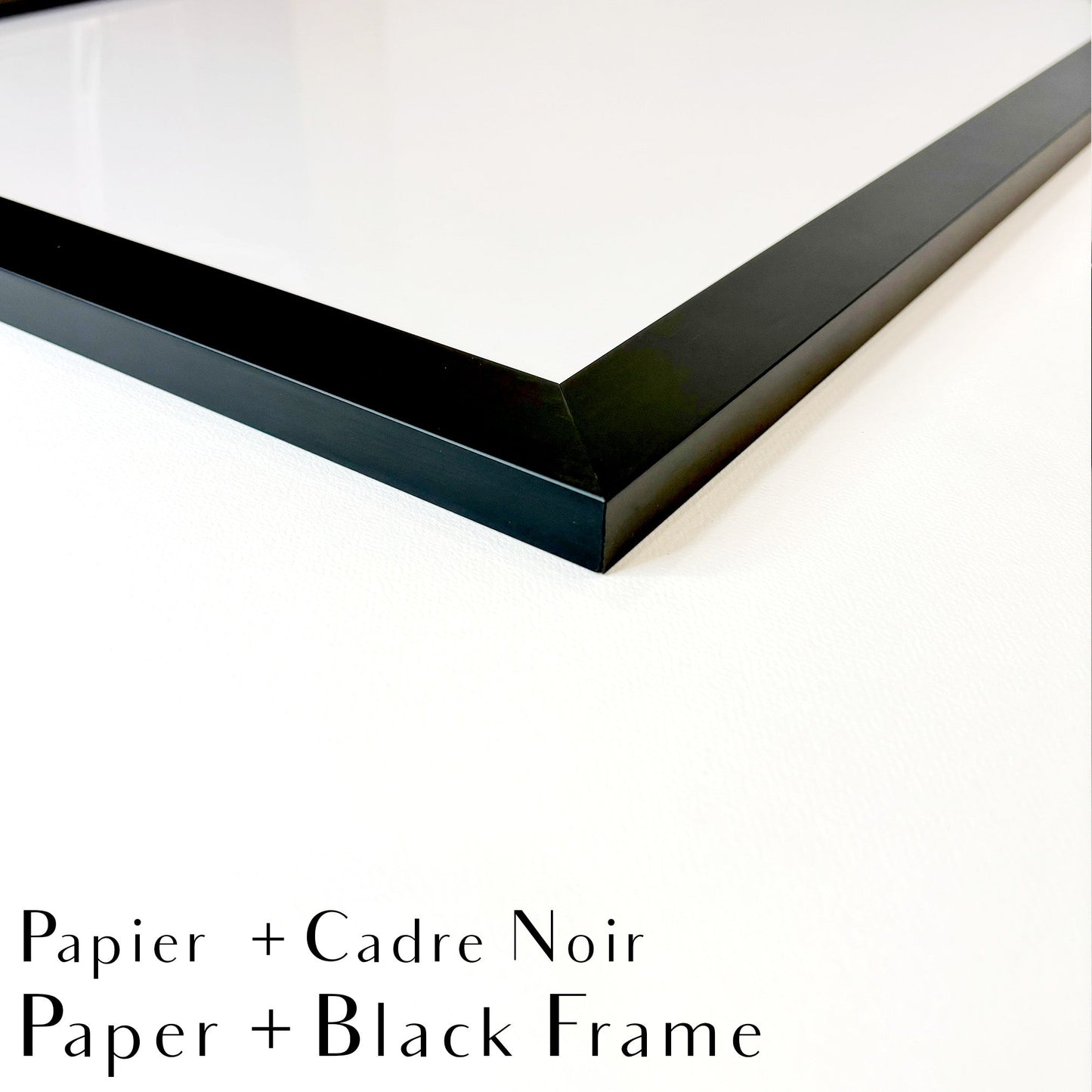 Funny Seagulls  - black and white animal art