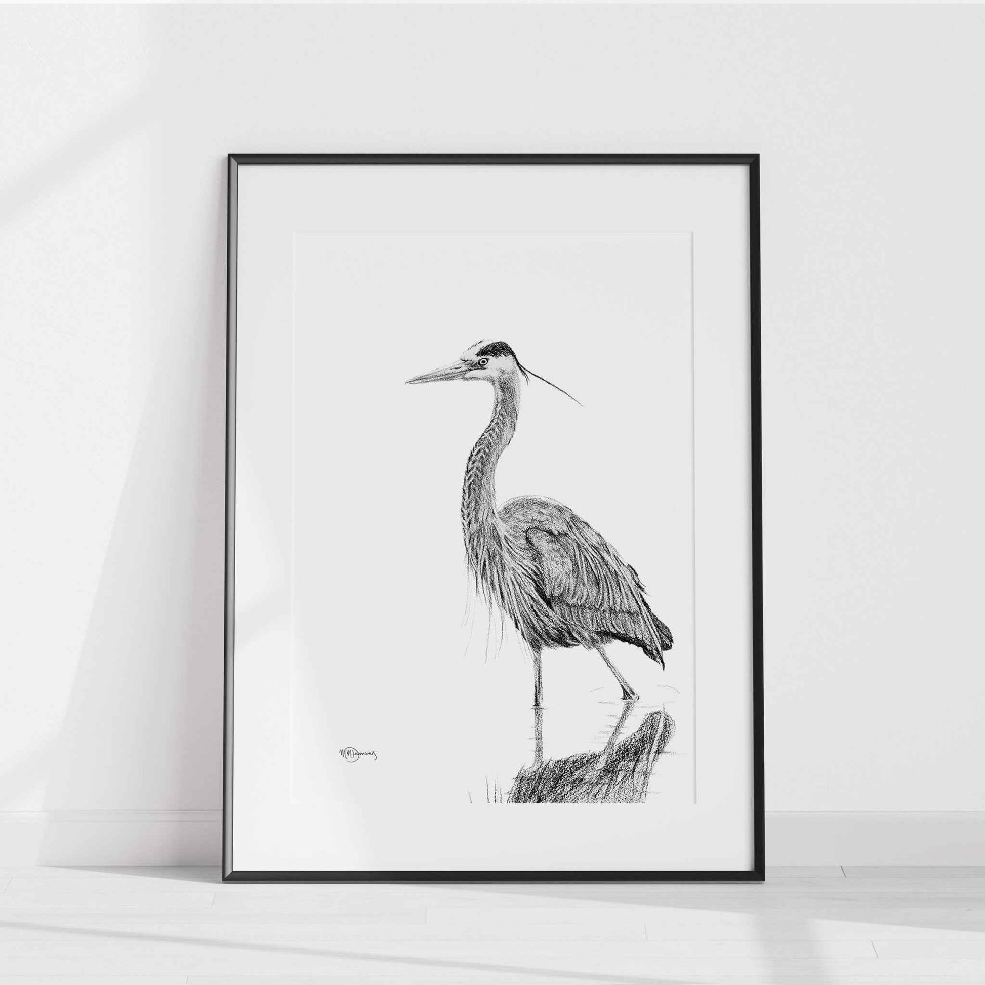 Heron NO 2 - Black and white - Blue Heron in water -  art print
