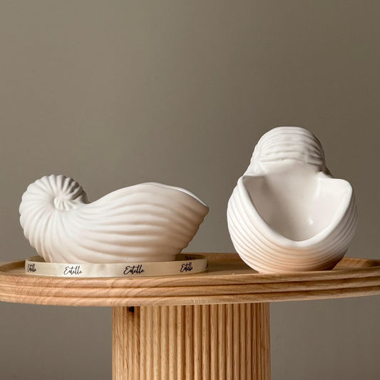 Sea Shell Jesmonite Trinket Tray: Coastal Jewelry Dish