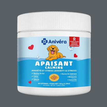 Gâterie calmante pour chien
