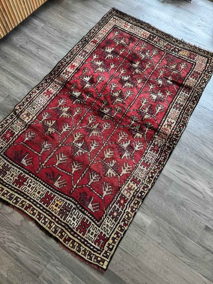 Persian Baluch Rug | 3' 7" x 5' 11"