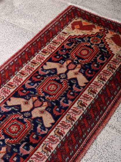 Persian Baluch Runner Rug | 2' 3” x 6' 8"