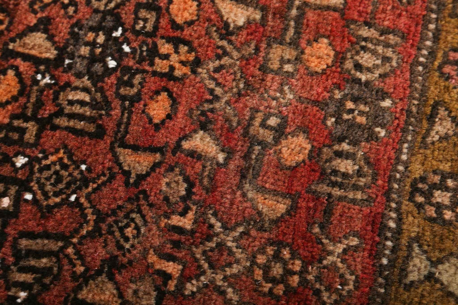Persian Bidjar Rug | 4' 2" x 5' 9"