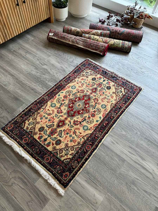 Persian Hamedan Rug | 2' 3" x 3' 8"