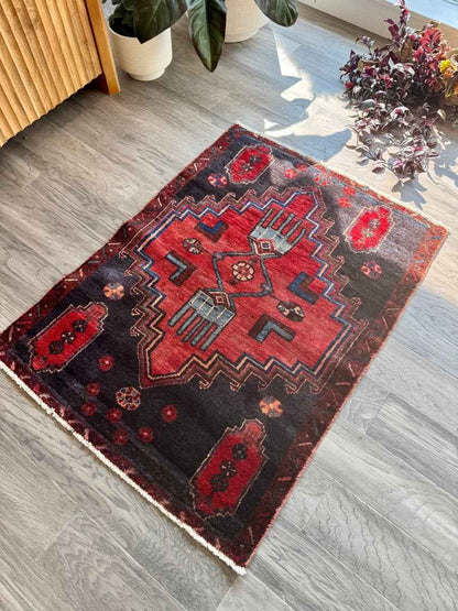 Persian Hamedan Rug | 2' 7" x 3’ 6”