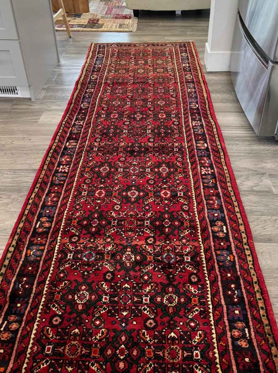 Persian Hosseinabad Runner Rug | 2' 11" x 9' 10"