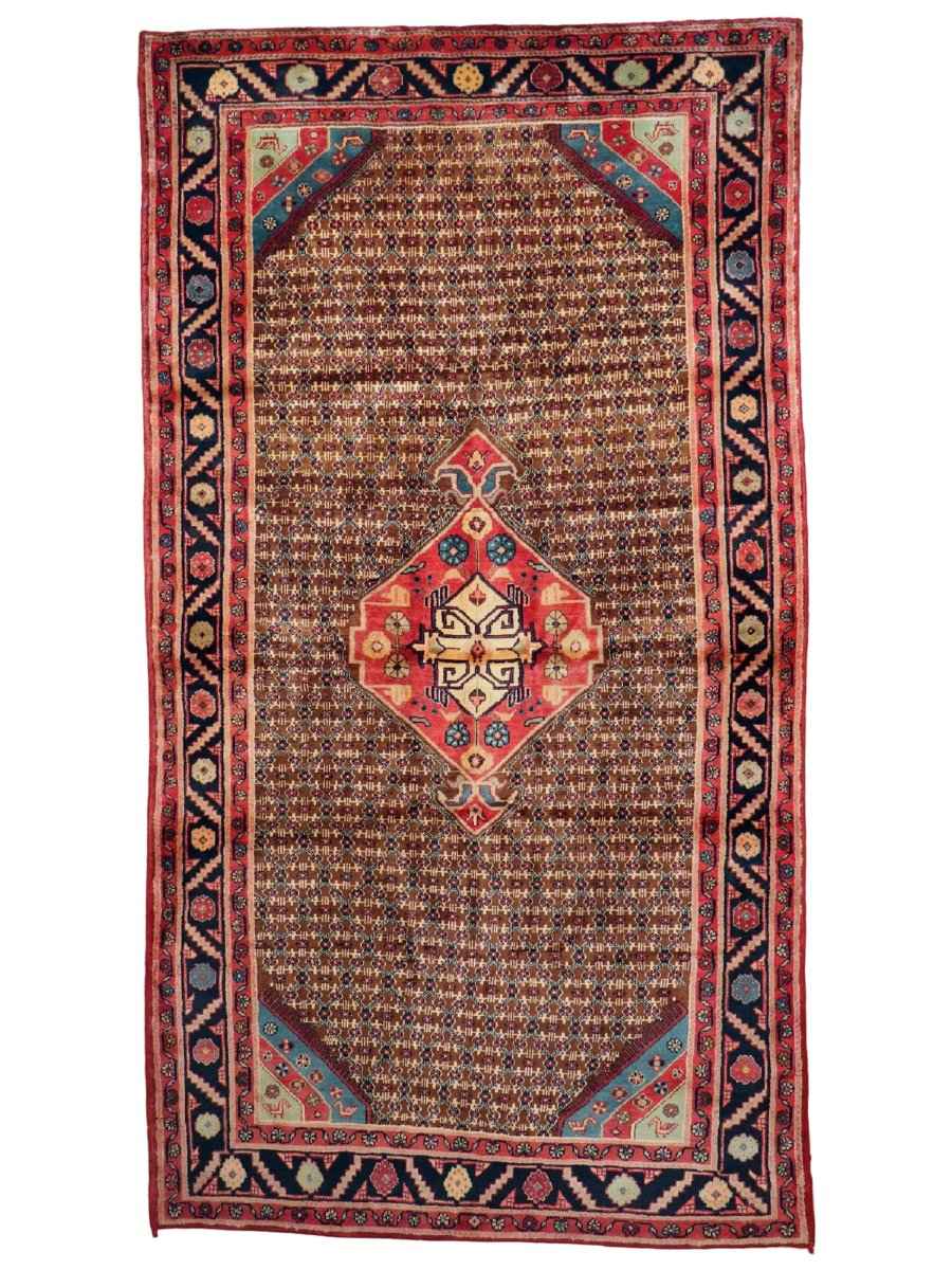 Persian Koliai Rug | 5’ 1" x 9’ 5"