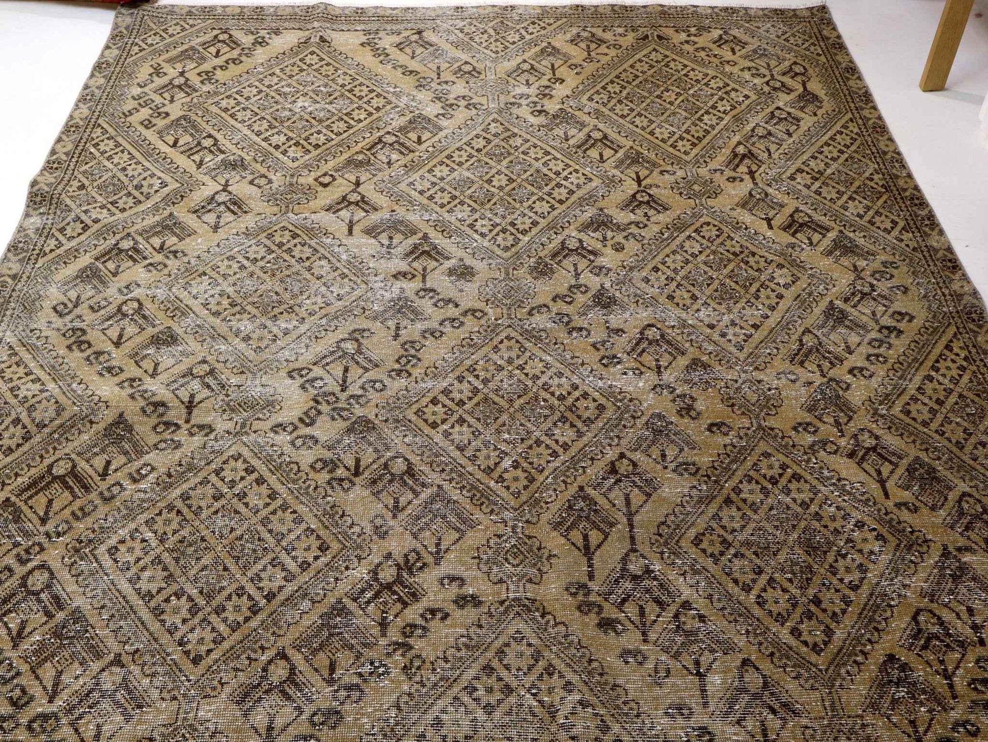 Persian Sirjan Rug | 6' 8” x 9' 11"