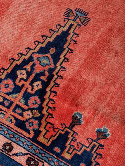 On hold | Persian Viss Rug | 7' 9” x 11' 6"
