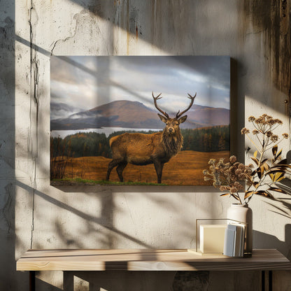 Scottish Stag