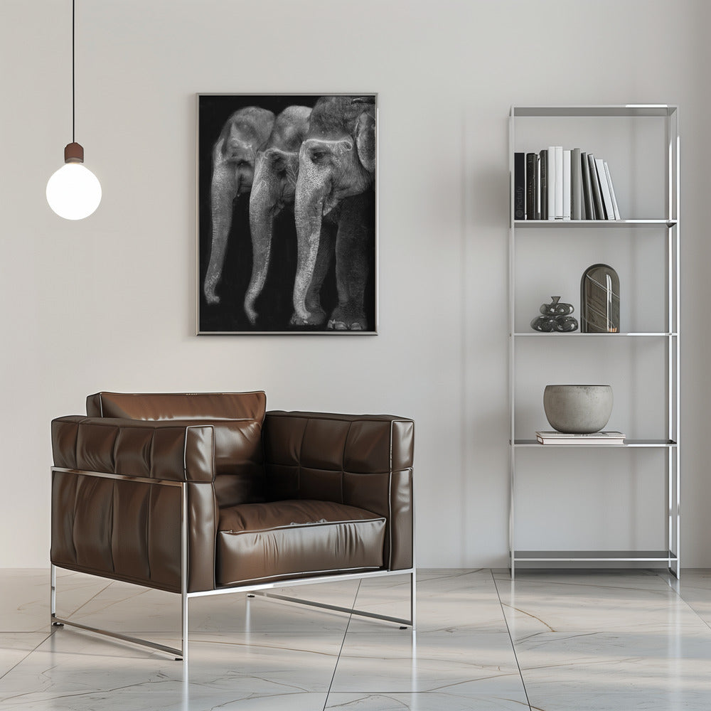 Wall art Nature\'s great masterpiece, an elephant; the only harmless great thing ...