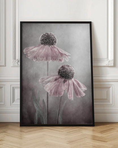 Wall Art Duet
