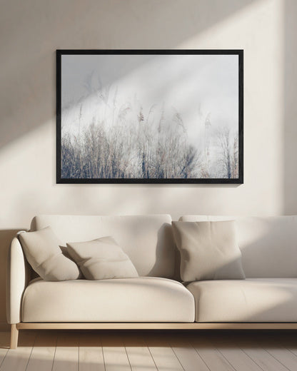 Wall art Landscape of reeds and grass
