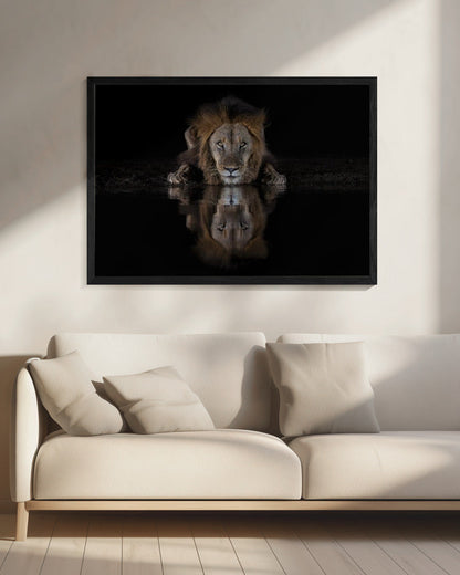 Wall art A Lion at The Night