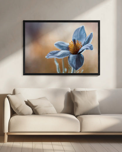 Wall art Pasque. Floral