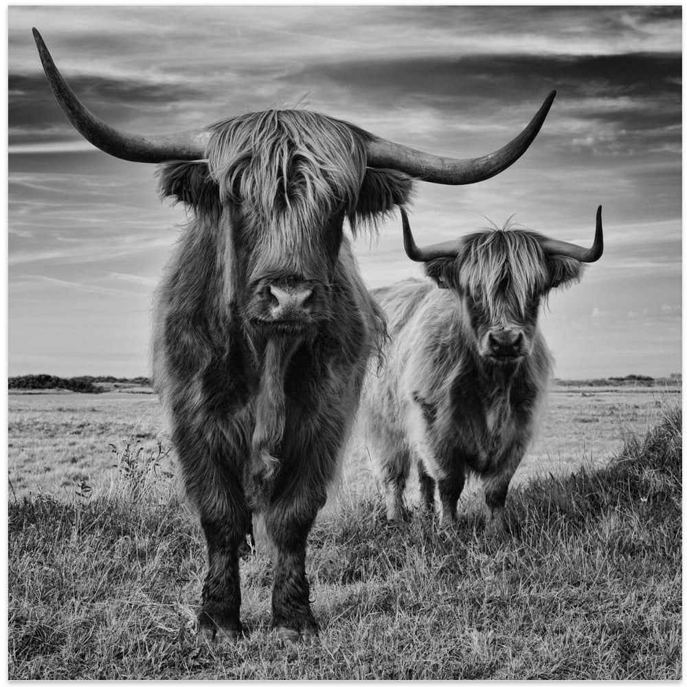 Wall Art Highlands