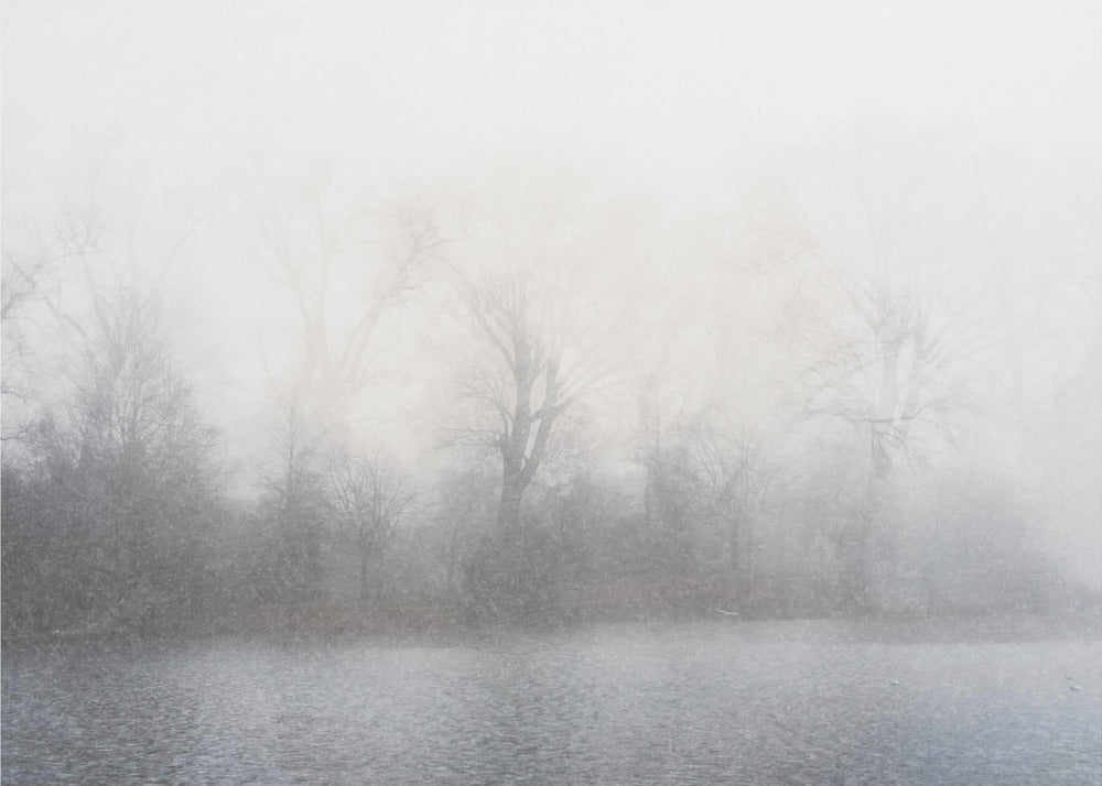 Wall art Misty landscape
