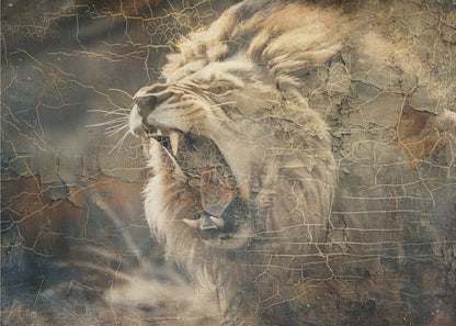 Wall art Lion Animal Vintage Art Illustration Wallart 09