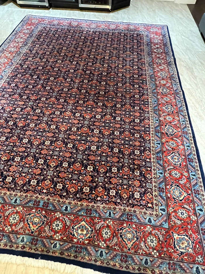 Persian Sarouk Rug | 10' 6" x 7' 5"